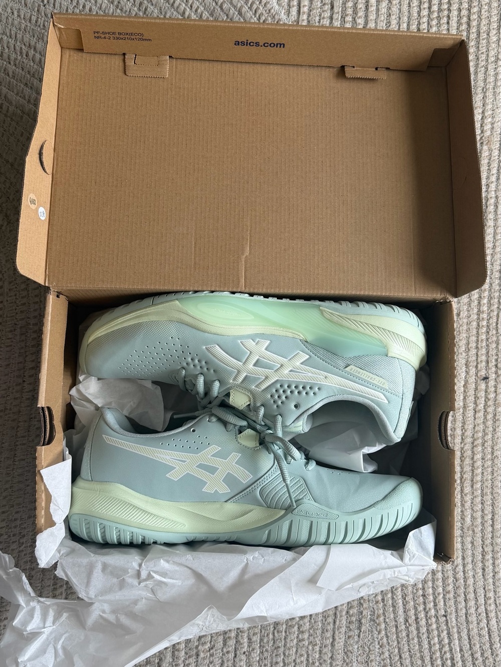 ASICS Gel-Challenger 15 all court shoes